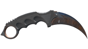 Rust Coat image