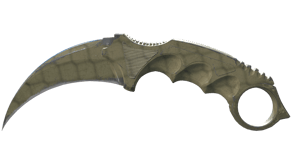 Safari Mesh image