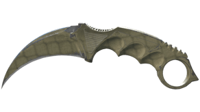 Safari Mesh image