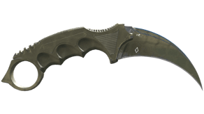 Safari Mesh image