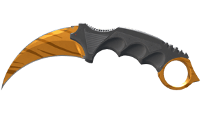 Tiger Tooth image