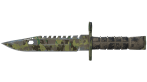 Boreal Forest image