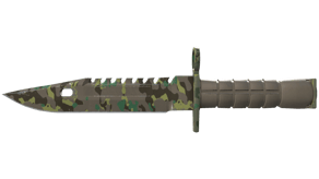 Boreal Forest image