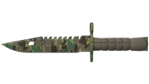 Boreal Forest image