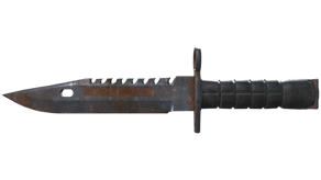 Rust Coat image