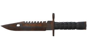 Rust Coat image