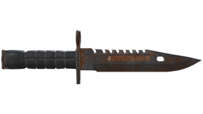Rust Coat image