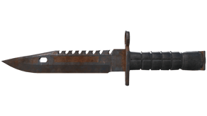 Rust Coat image