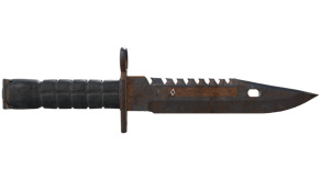 Rust Coat image