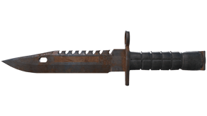 Rust Coat image