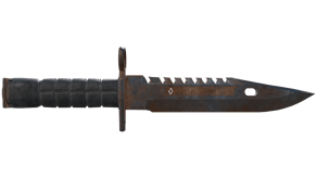 Rust Coat image