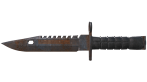 Rust Coat image