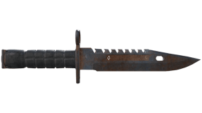 Rust Coat image