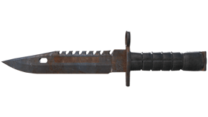 Rust Coat image