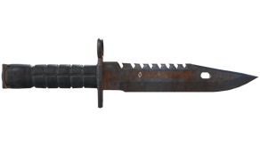 Rust Coat image
