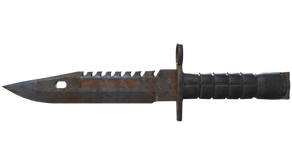 Rust Coat image