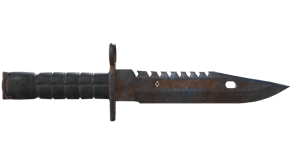 Rust Coat image