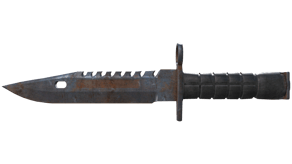 Rust Coat image