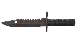Rust Coat image