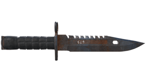 Rust Coat image