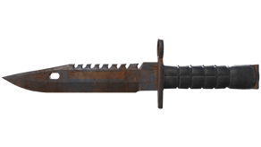 Rust Coat image