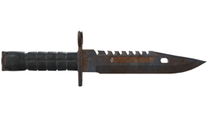 Rust Coat image
