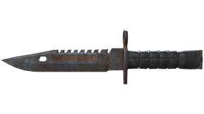 Rust Coat image