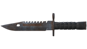 Rust Coat image