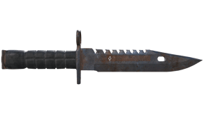 Rust Coat image