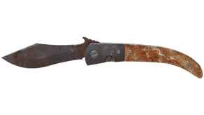 Rust Coat image