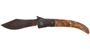 Rust Coat image