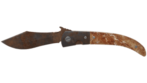 Rust Coat image