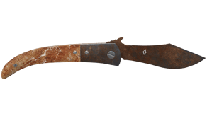 Rust Coat image