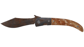 Rust Coat image