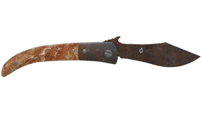 Rust Coat image