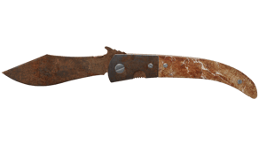 Rust Coat image