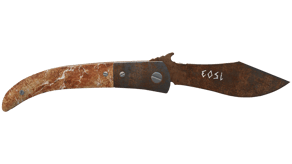 Rust Coat image