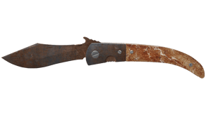 Rust Coat image