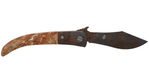 Rust Coat image