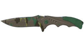 Boreal Forest image
