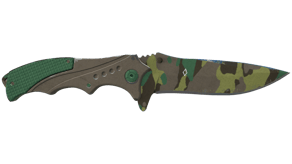Boreal Forest image