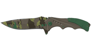 Boreal Forest image