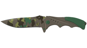 Boreal Forest image