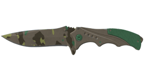 Boreal Forest image