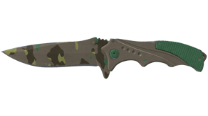 Boreal Forest image
