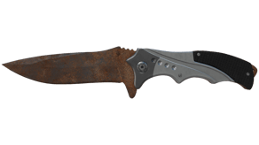 Rust Coat image