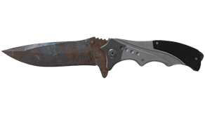 Rust Coat image