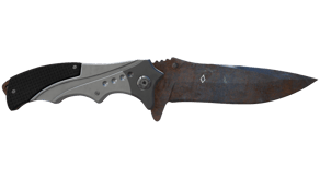 Rust Coat image