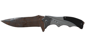 Rust Coat image