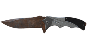 Rust Coat image